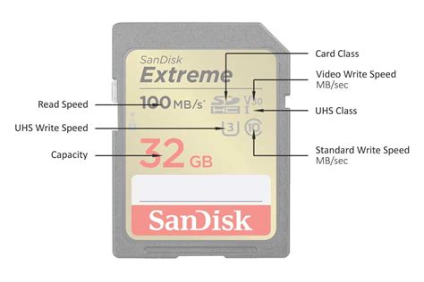 SDXC Card Slot: A Comprehensive Guide to Storage Expansion