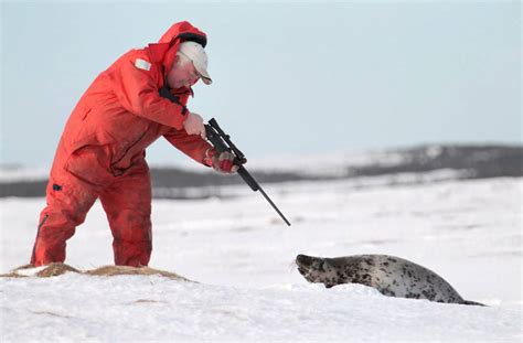 SEAL Wolf Hunting Reader
