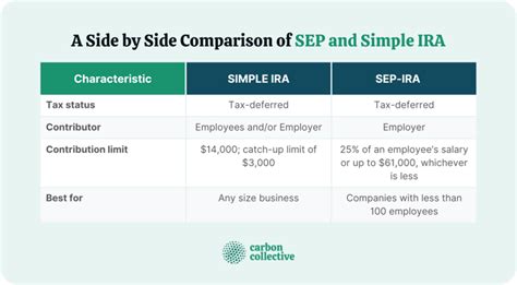 SEP vs Simple: A Comparative Analysis