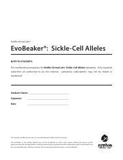 SICKLE CELL ALLELES SIMBIO ANSWERS Ebook Epub