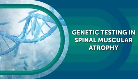 SMAJ12A: Unveiling the Mystery of the Spinal Muscular Atrophy Gene