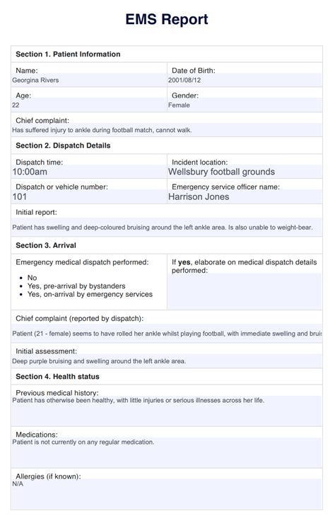 SOAP EMS REPORT EXAMPLE Ebook Reader