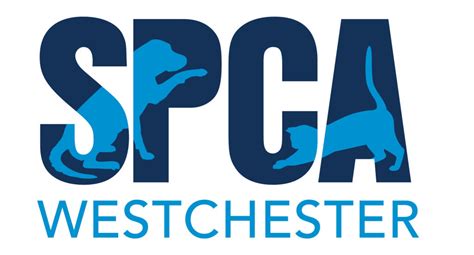 SPCA of Westchester County: Briarcliff Manor, NY - Your Guide to Animal Welfare