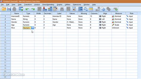 SPSS: The Statistical Powerhouse