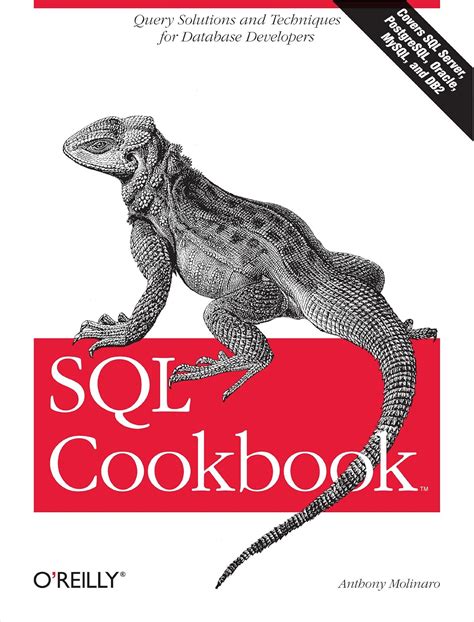 SQL Cookbook Query Solutions and Techniques for Database Developers Cookbooks O Reilly Kindle Editon