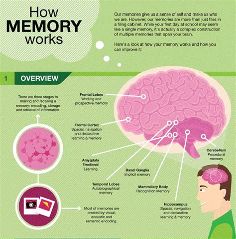 SST39SF040: A Comprehensive Guide to Enhancing Memory Performance