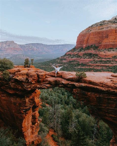 STORIES FROM THE ARIZONA COAST Epub