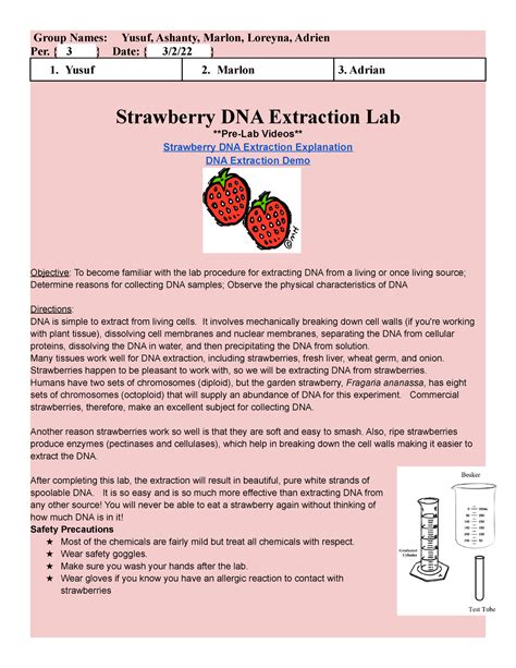 STRAWBERRY DNA EXTRACTION ANSWERS Ebook Doc