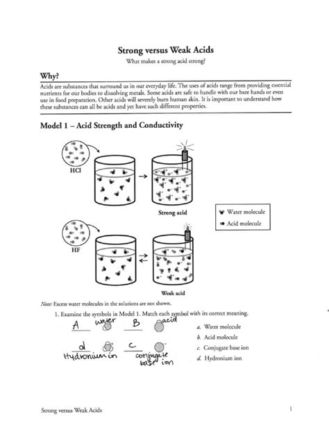 STRONG VS WEAK ACIDS POGIL PACKET ANSWER KEY Ebook Epub