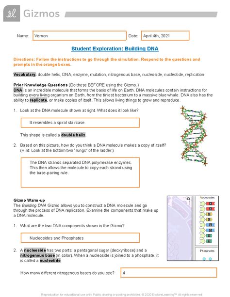 STUDENT EXPLORATION BUILDING DNA GIZMO ANSWERS KEY Ebook Reader