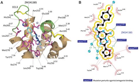 SZA6.8A: The Extraordinary 6.8 Angstrom Crystal Structure That's Revolutionizing Materials Science