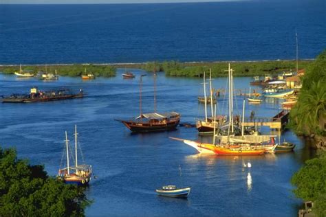 Saco Pituaçu: Um Patrimônio Natural da Bahia