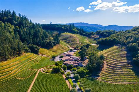 Sacramento to Napa: A Scenic 50-Mile Wine Country Getaway