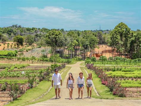 Safari Lagoi Bintan: An Unforgettable 3-Day Adventure in the Heart of Indonesia's Paradise