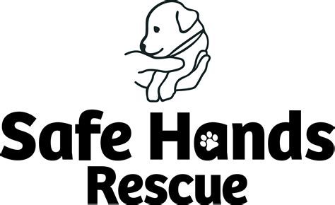 Safe Hands Animal Rescue: Protecting 10,000 Pawsitive Lives Annually