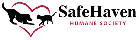 Safe Haven Humane Society: A Beacon of Compassion for Animals in Need