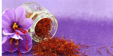 Saffron Bacchus: An Elixir of Health and Heritage