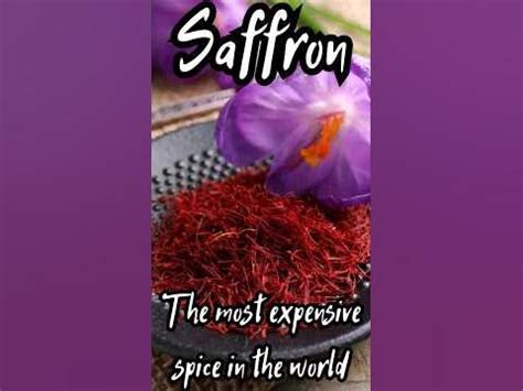 Saffron Leaks: Unraveling the Global Spice Trade's Dark Secrets