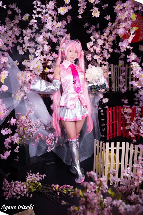 Sakura Blossom Miku: A Captivating Cosplay Journey