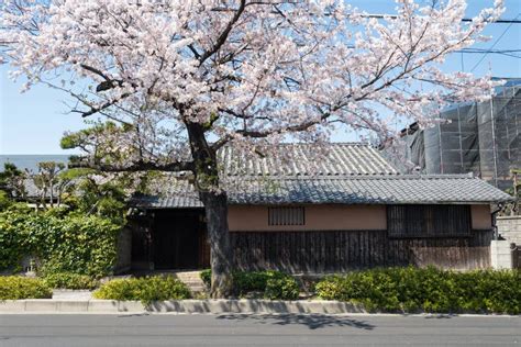 Sakura House Nagoya