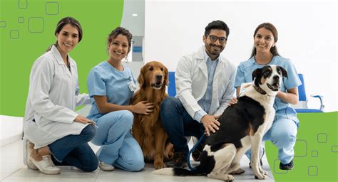 Salary of a Veterinary Doctor: Exploring the Lucrative Field of Animal Care