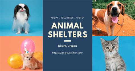 Salem Animal Control Oregon: Your Comprehensive Guide to Keeping Your Pets Safe and Healthy