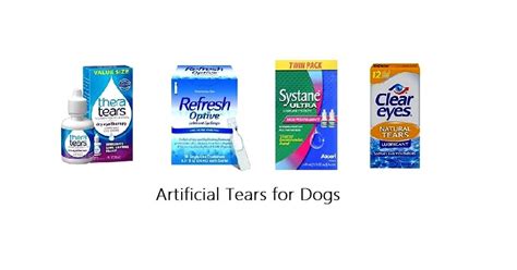 Saline Eye Drops for Dogs: A Comprehensive Guide for Eye Care