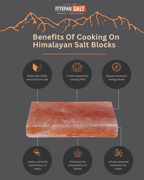 Salt Block Cooking Himalayan Bittermans Kindle Editon