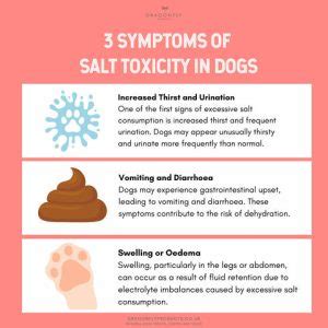 Salt Poisoning in Dogs: A Comprehensive Guide to Its Dangers and Management