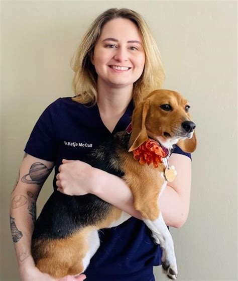 Salt Ponds Animal Hospital: Excellence in Veterinary Care for Over 50 Years