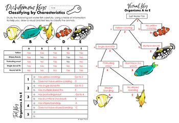 Salt Water Fish Dichotomous Key Answers Doc