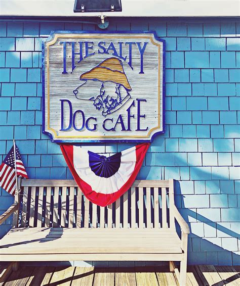 Salty Dog Cafe: Elevate Your Wardrobe with Nautical Charm