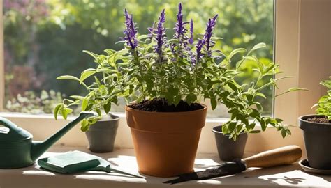 Salvia Fertilizing Needs for Optimal Growth & Vibrance