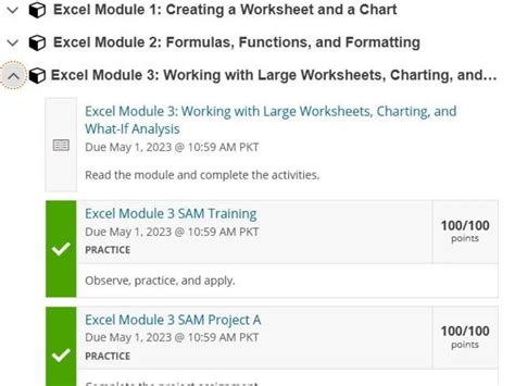 Sam Cengage Answers Excel Capstone 2013 Doc