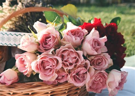 Same Day Flower Delivery Singapore Cheap 2025: Your Ultimate Guide to Affordable Floral Surprises