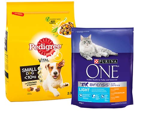 Same Day Pet Food Delivery: A 24/7 Convenience Revolutionizing Pet Care