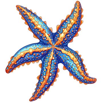 Sammy Starfish: A Comprehensive Guide to the Starfish Species