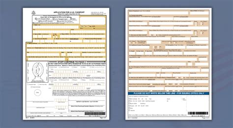 Sample Ds 11 Form Pdf Reader