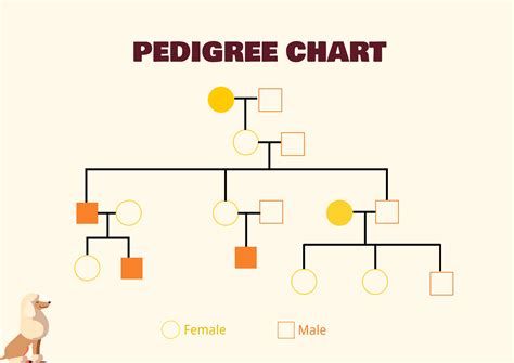 Sample Pedigree Chart
