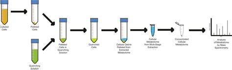 Sample Preparation: