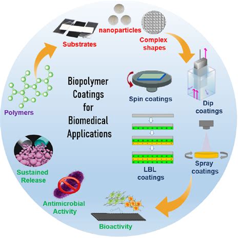 Samyquin: Unveiling the Potential of a Novel Biopolymer for Biomedical Advancements