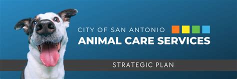 San Antonio Animal Care Services: A Comprehensive Guide