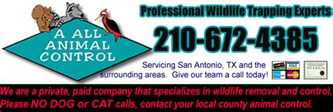 San Antonio Animal Control: Your 123 Guide to Animal Services