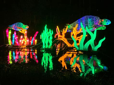 Sanford Zoo Lantern Festival: A Shimmering Symphony of Lights