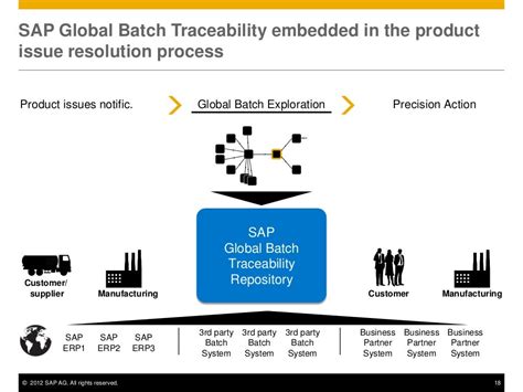 Sap Global Batch Traceability Solution Overview Kindle Editon