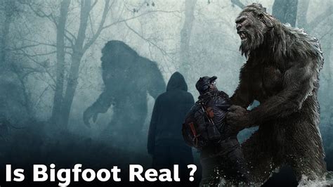 Sasquatch: The Enigma of the Forest