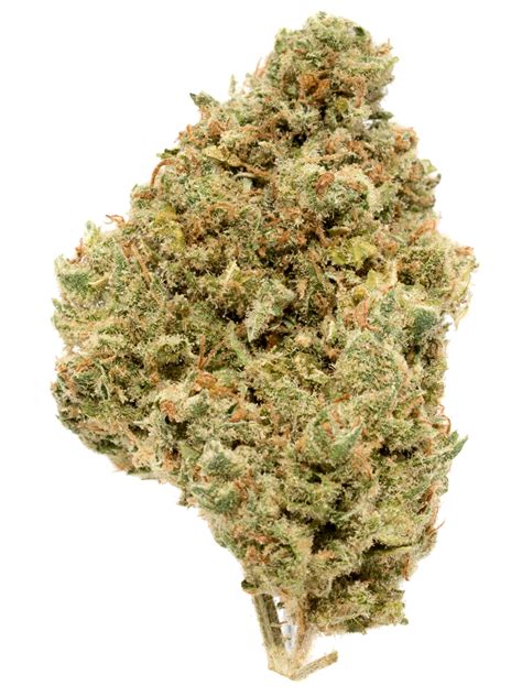 Sativa Strains: