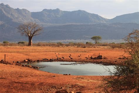 Savanna Plateaus: Oasis in the Wilderness, Key to Conservation