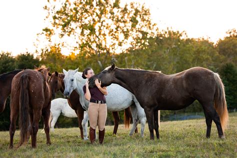 Save a Horse Shirt: Join the Movement to End Equine Cruelty