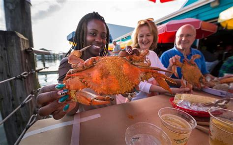 Savor the True Essence of Chesapeake Bay Cuisine